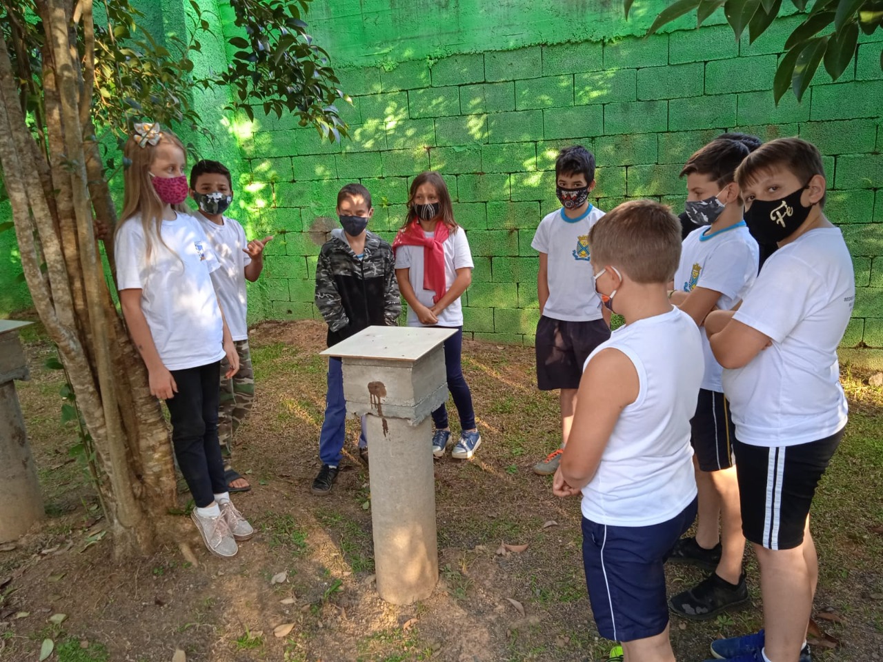 Escola De Benedito Novo Ensina Alunos Sobre Cultivo De Abelhas Sem