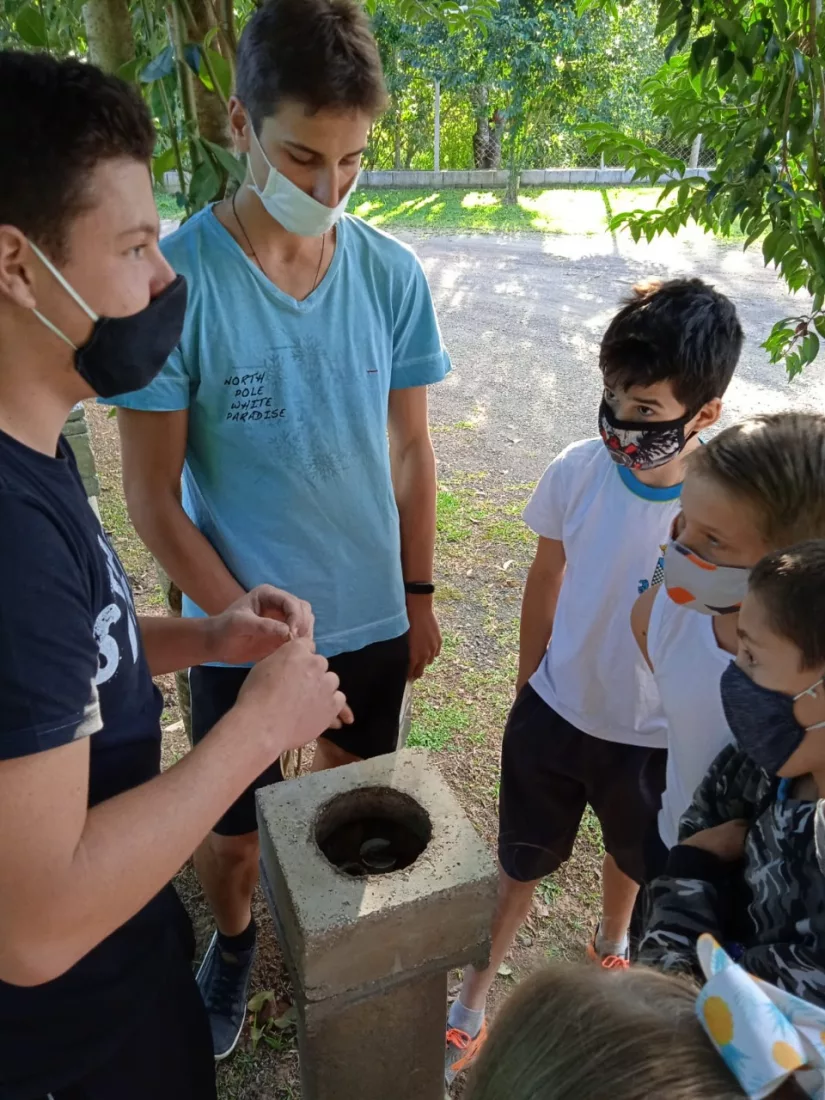 Alunos observando colmeia de abelhas sem ferrão da espécie Jataí em projeto de escola de Benedito Novo