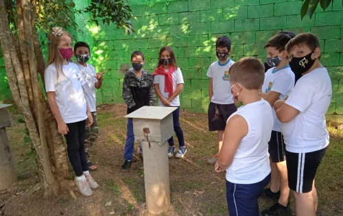 estudantes no ambiente externo da EEB Tercílio Longo, de Benedito Novo, em volta de uma colmeia de abelhas da espécie Jataí, cultivadas em projeto de cultivo de abelhas sem ferrão