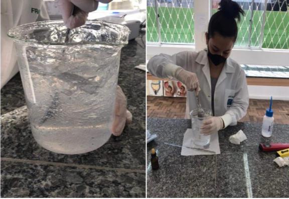 Álcool em gel produzido pelos estudantes da segunda série do Novo Ensino Médio no Laboratório de Ciências da Natureza da EEB Celso Ramos foi distribuído para alunos e professores da escola