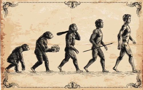 Evolucionismo