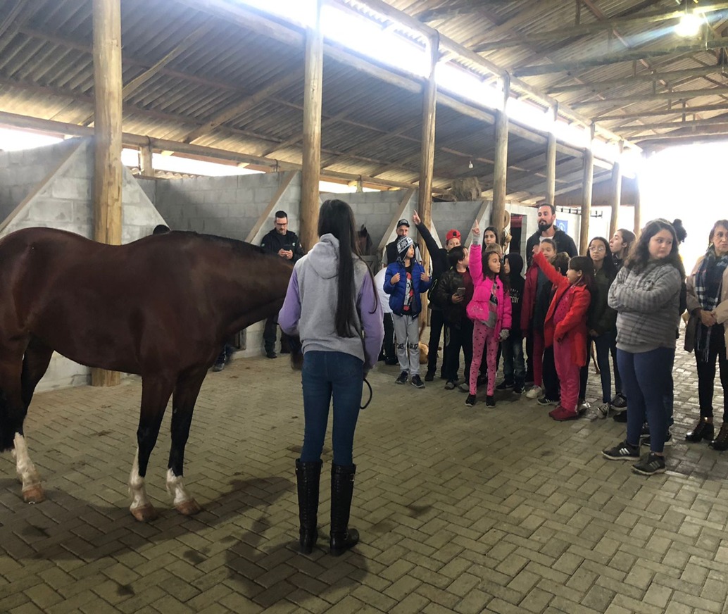 O contato dos cavalos com os alunos trouxe benefícios para as crianças