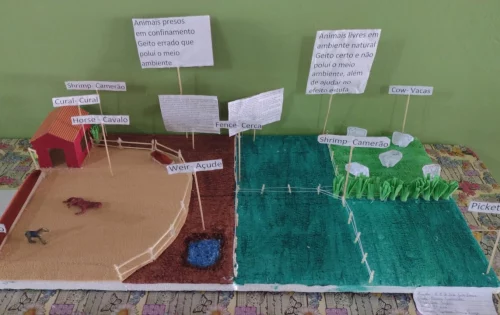 Maquetes sobre proteção do solo e água