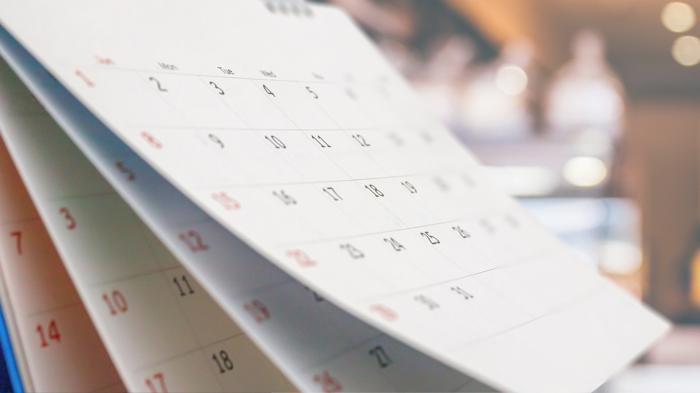 Agosto: datas comemorativas desse mês - Mundo Educação